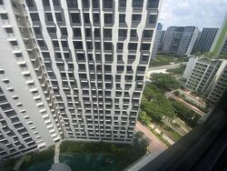 Blk 446B Punggol Point Cove (Punggol), HDB 5 Rooms #564184011